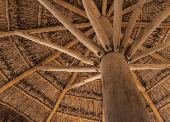 Thatch 3